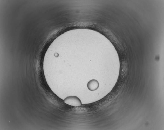 X0000116640636201001111209