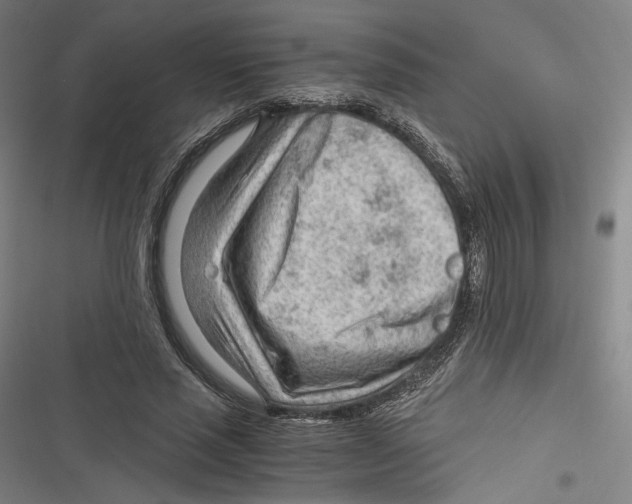 X0000116640637201001111209