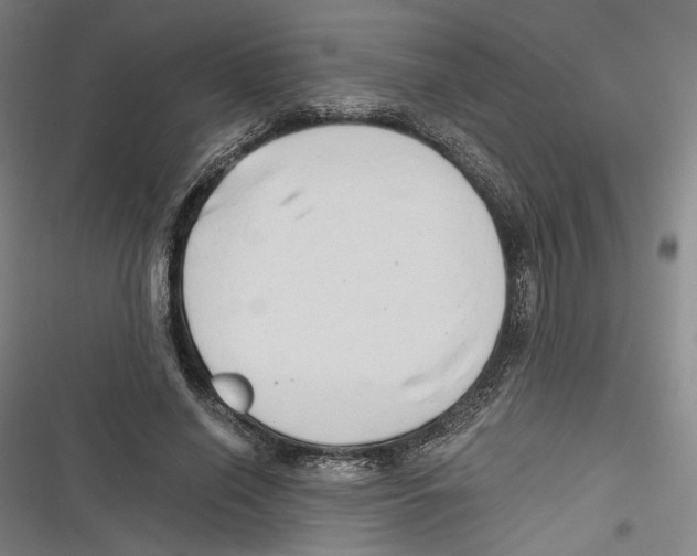 X0000116640638201001111209