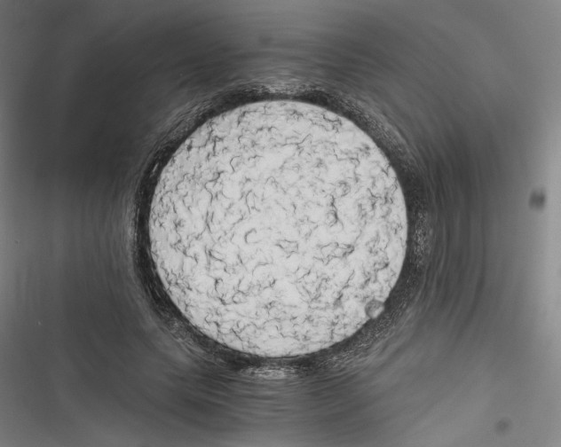 X0000116640639201001111209