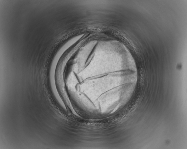 X0000116640641201001111209