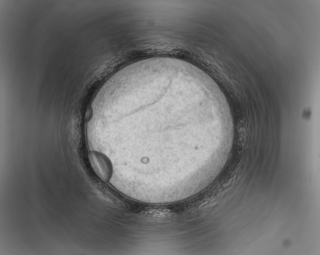 X0000116640642201001111209