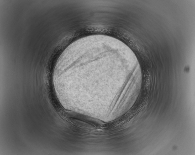 X0000116640643201001111209