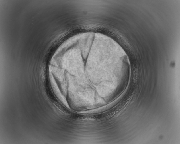 X0000116640644201001111209