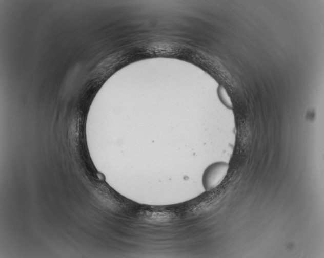 X0000116640645201001111209