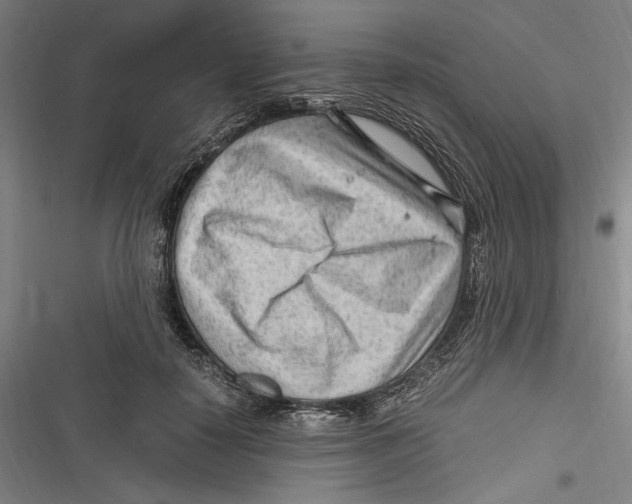 X0000116640650201001111209