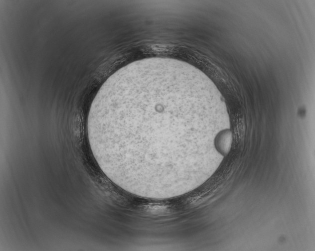 X0000116640651201001111209