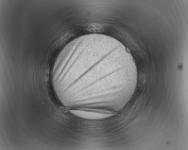 X0000116640652201001111209