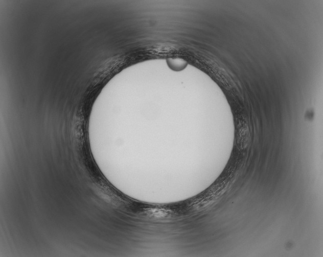 X0000116640654201001111209