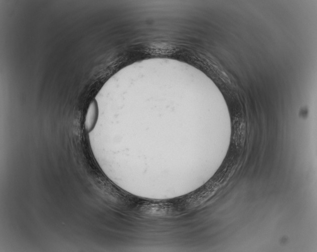 X0000116640655201001111209