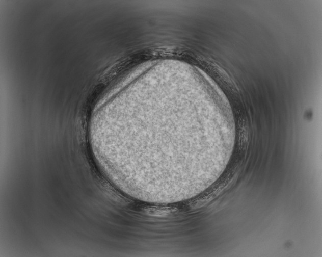 X0000116640661201001111209