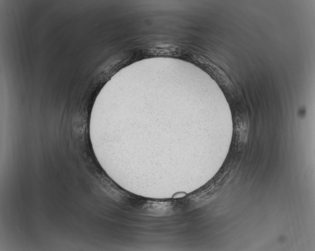 X0000116640665201001111209