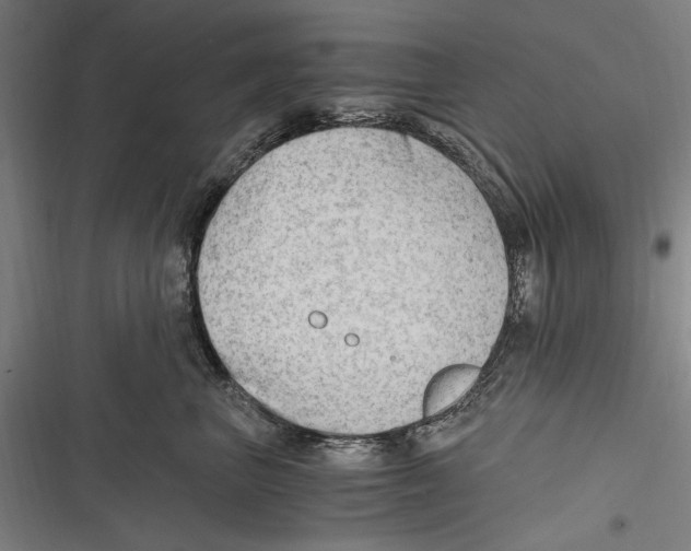 X0000116640667201001111209