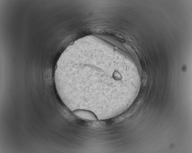 X0000116640670201001111209