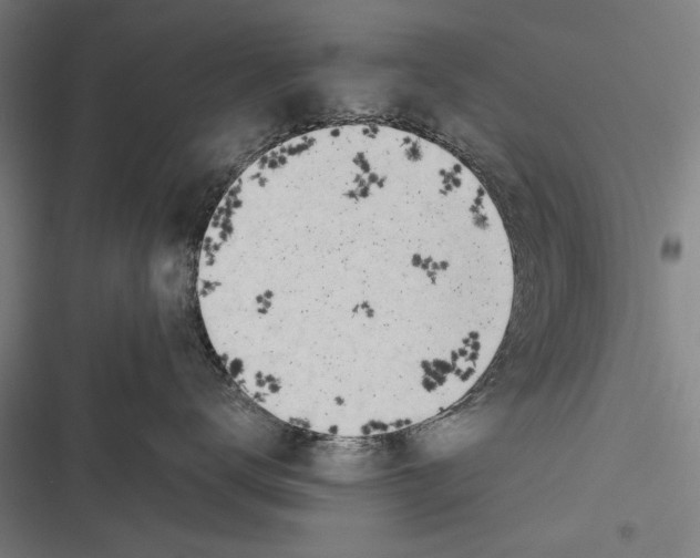 X0000116640672201001111209