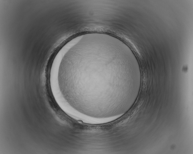 X0000116640674201001111209