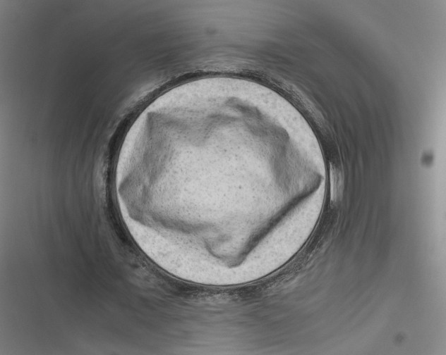 X0000116640675201001111209