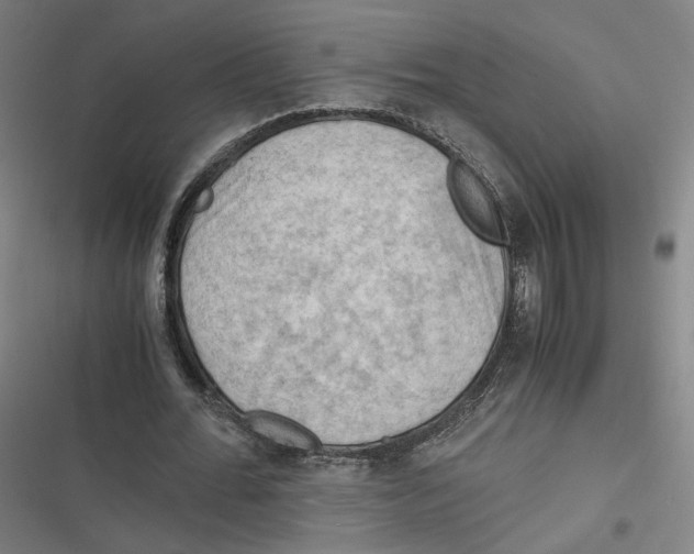 X0000116640676201001111208