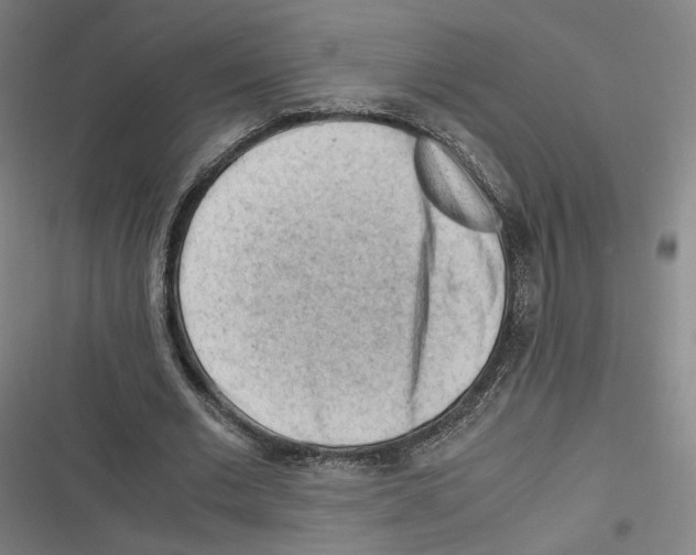 X0000116640677201001111208