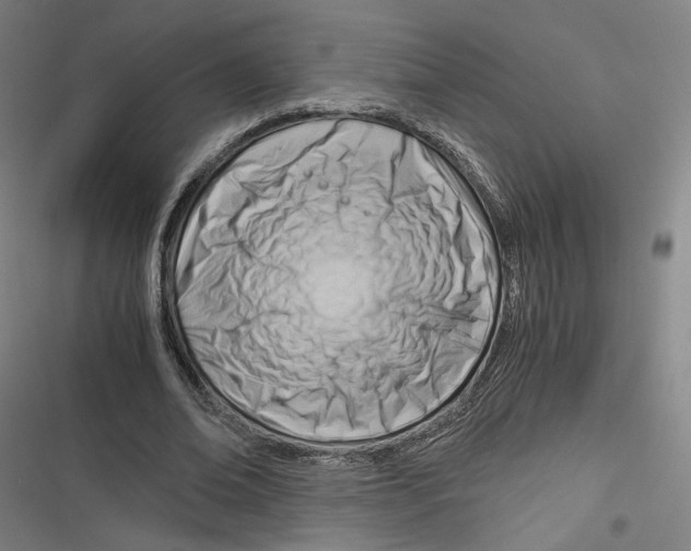 X0000116640678201001111208