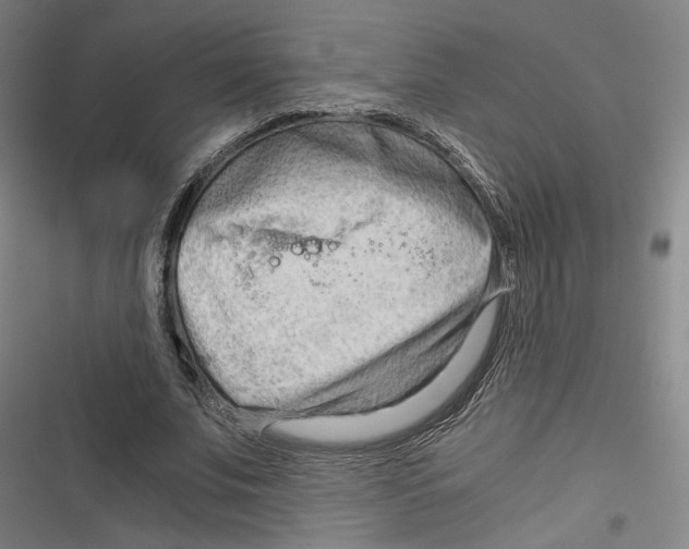 X0000116640679201001111208