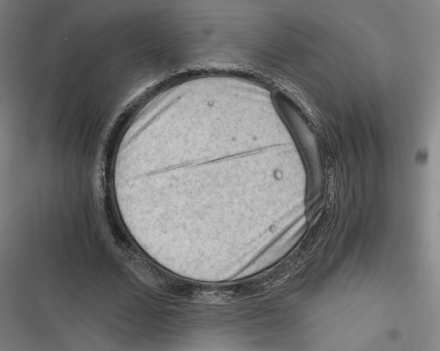 X0000116640680201001111208