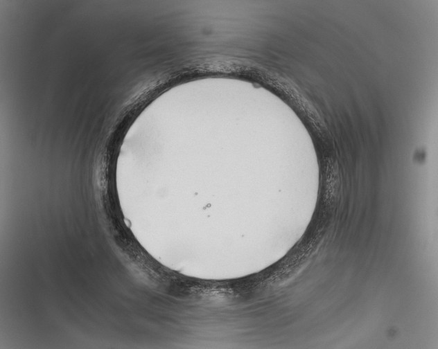 X0000116640683201001111208