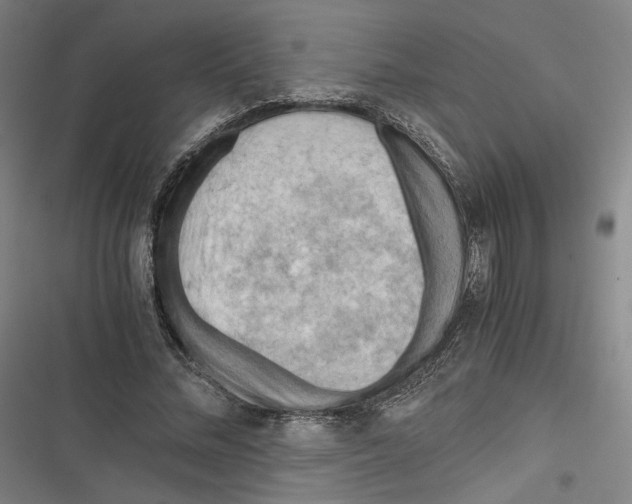 X0000116640684201001111208