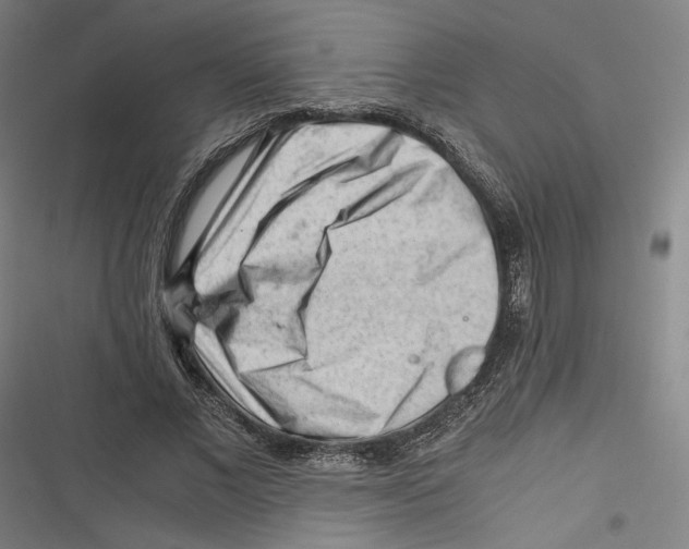 X0000116640685201001111208