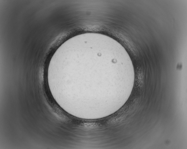 X0000116640686201001111208