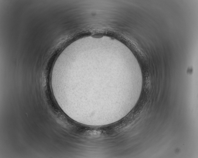 X0000116640687201001111208