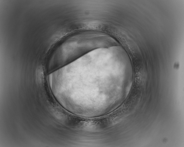 X0000116640688201001111208