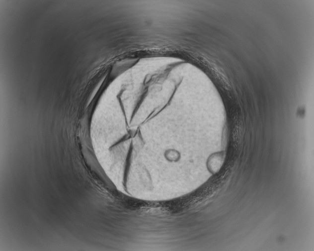 X0000116640689201001111208