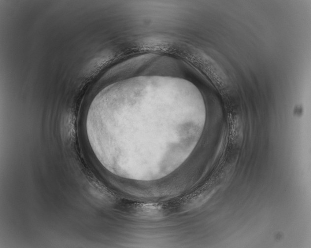 X0000116640692201001111208