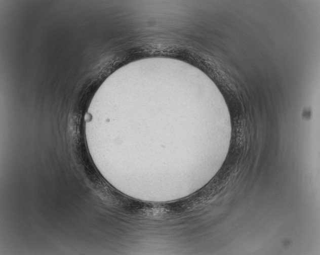 X0000116640695201001111208