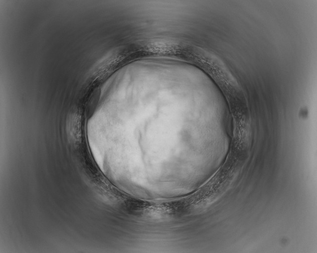 X0000116640696201001111208