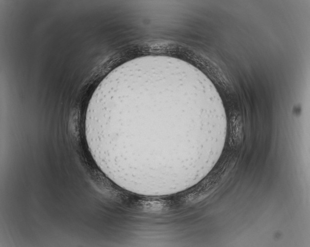 X0000116640698201001111208