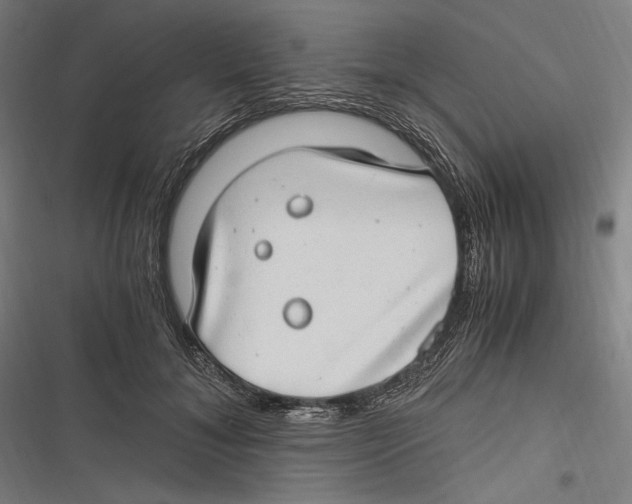 X0000116640700201001111208