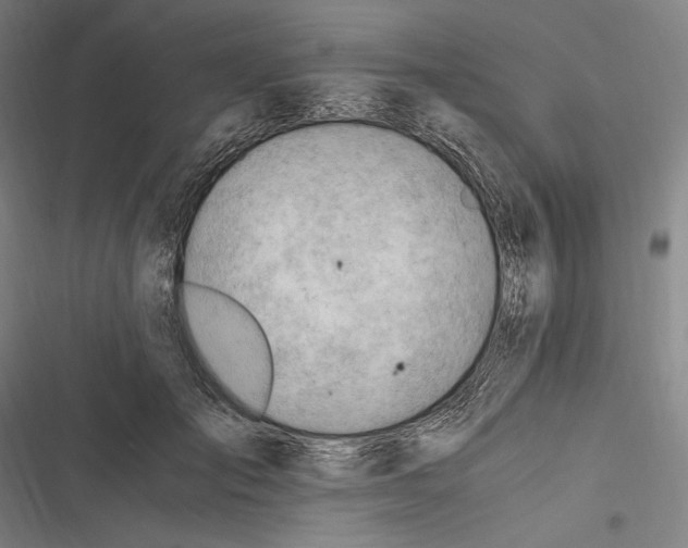 X0000116640701201001111208