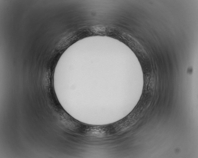 X0000116640702201001111208