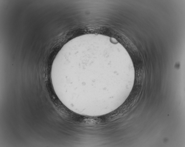 X0000116640703201001111208