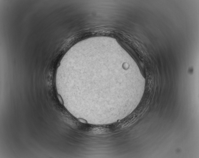 X0000116640708201001111208