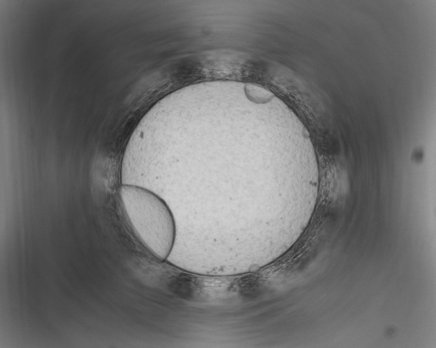 X0000116640709201001111208