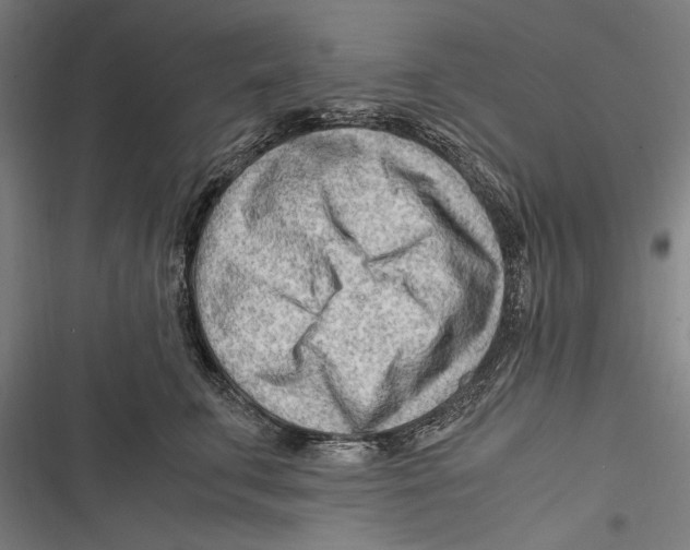 X0000116640711201001111208