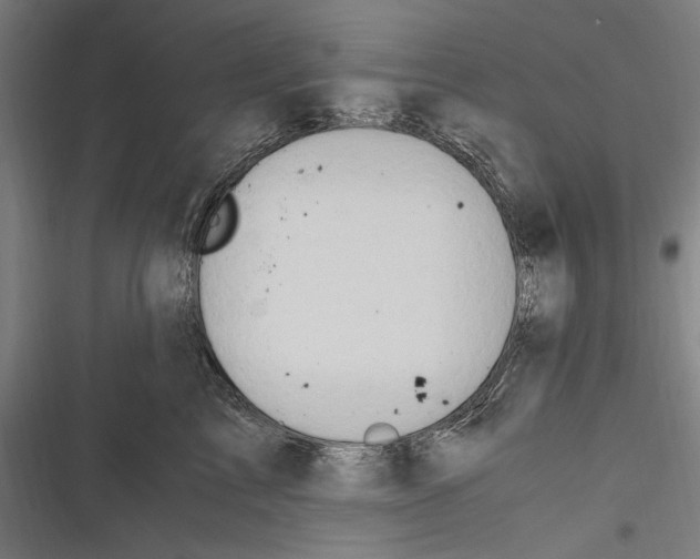 X0000116640713201001111208