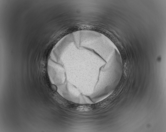 X0000116640714201001111208