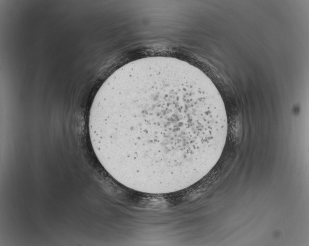 X0000116640715201001111208