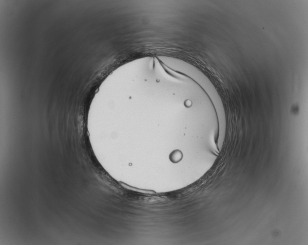 X0000116640716201001111208