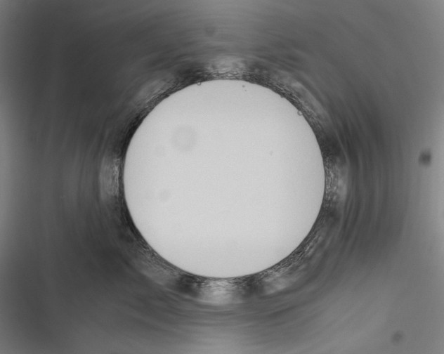 X0000116640717201001111208