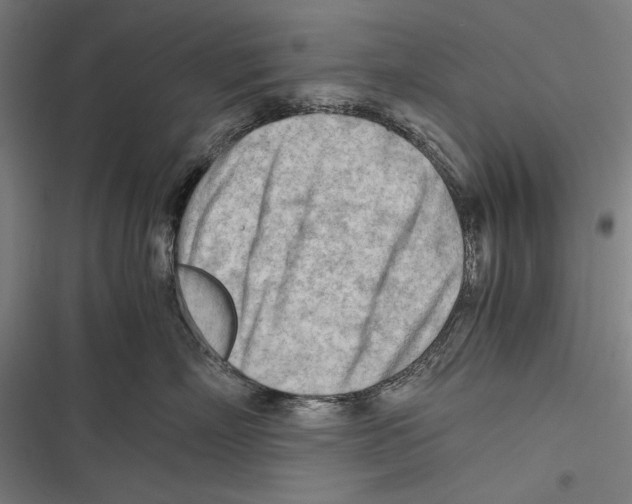 X0000116640718201001111208